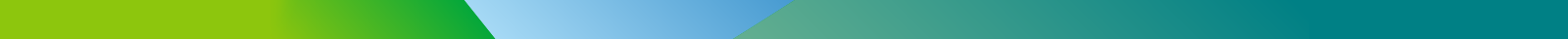 Footer Image