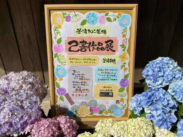 IMG_9939.jpeg